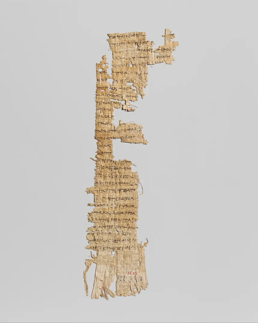 A fragment of ancient papyrus carrying lines from Homer's Odyssey, its Greek text still legible between the frayed fibres.